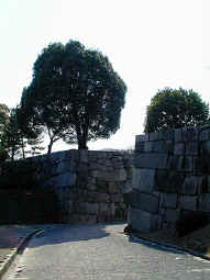 nijo_castle_wall.JPG (50085 bytes)